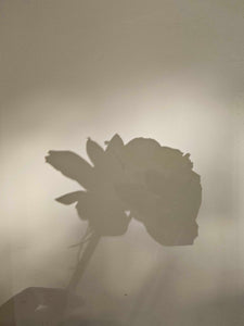 Flower Pressing