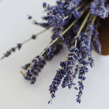 Load image into Gallery viewer, Lavender Earl Grey Black Tea Mini Tea Tube Gift (5 tea bags)
