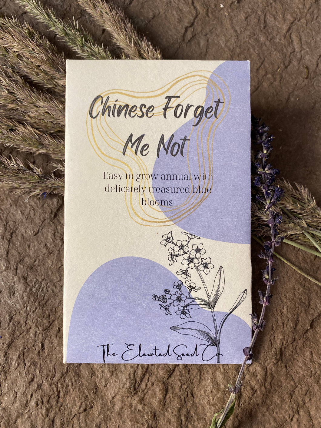 Chinese Forget Me Not